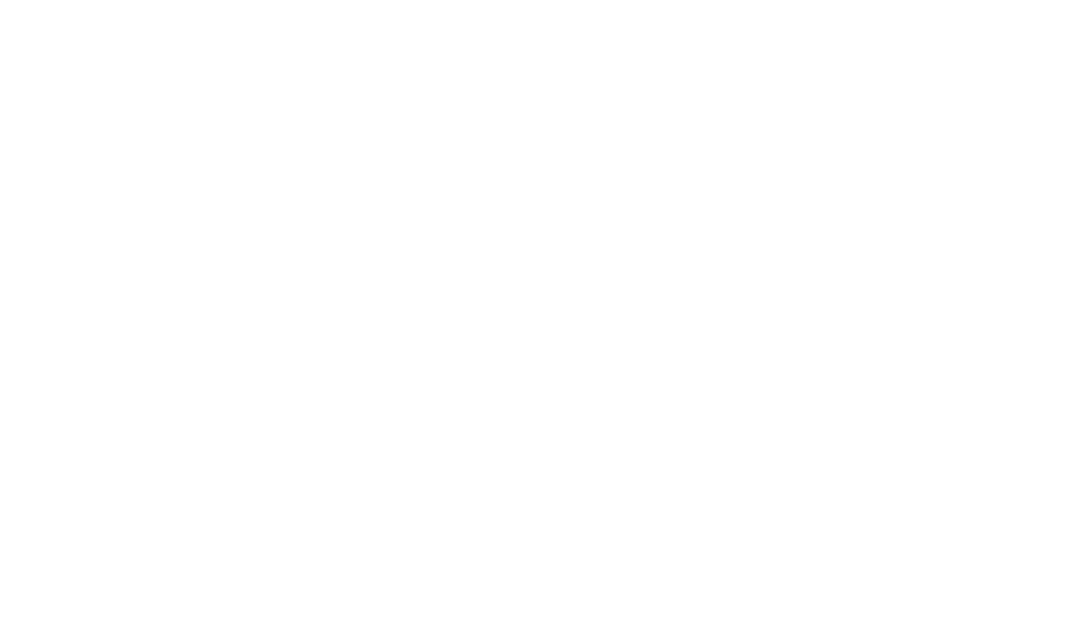 AAA Self Storage logo